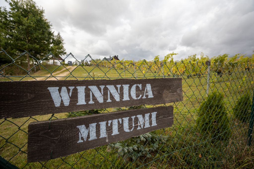 NA SPRZEDAŻ / WINNICA MITUMI / Kaszuby